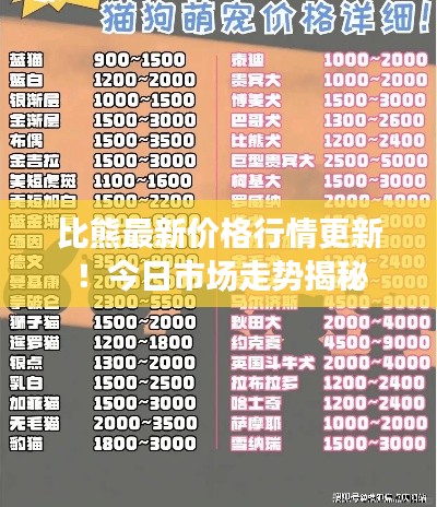 比熊最新价格行情更新！今日市场走势揭秘