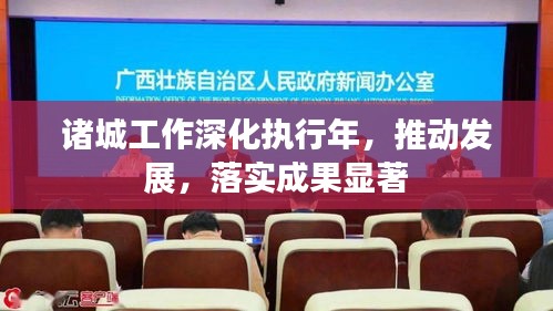 诸城工作深化执行年，推动发展，落实成果显著