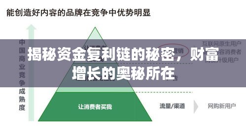揭秘资金复利链的秘密，财富增长的奥秘所在