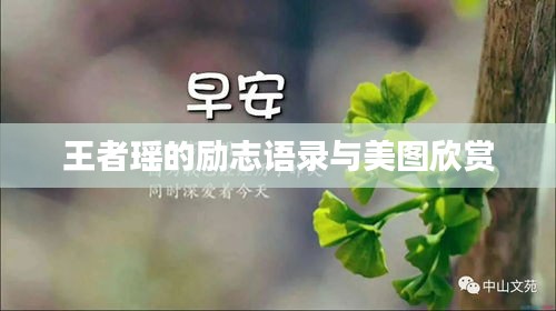 王者瑶的励志语录与美图欣赏