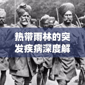 热带雨林的突发疾病深度解析