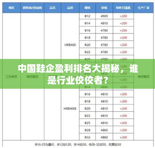 中国鞋企盈利排名大揭秘，谁是行业佼佼者？