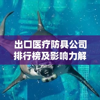 出口医疗防具公司排行榜及影响力解析
