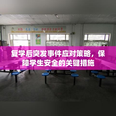 复学后突发事件应对策略，保障学生安全的关键措施