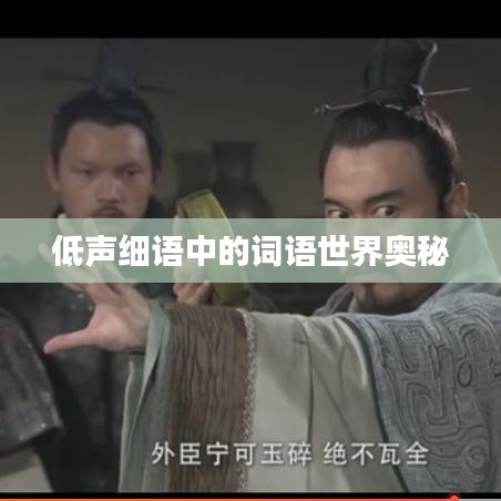 低声细语中的词语世界奥秘
