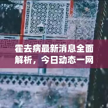霍去病最新消息全面解析，今日动态一网打尽！