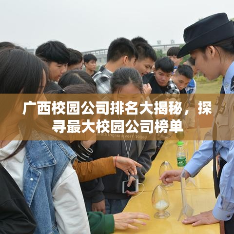 广西校园公司排名大揭秘，探寻最大校园公司榜单