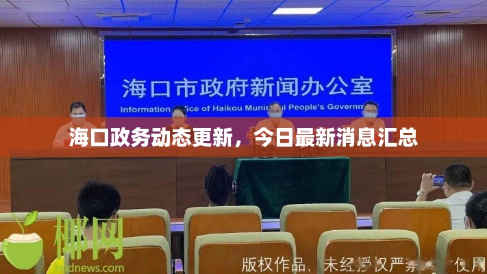 海口政务动态更新，今日最新消息汇总