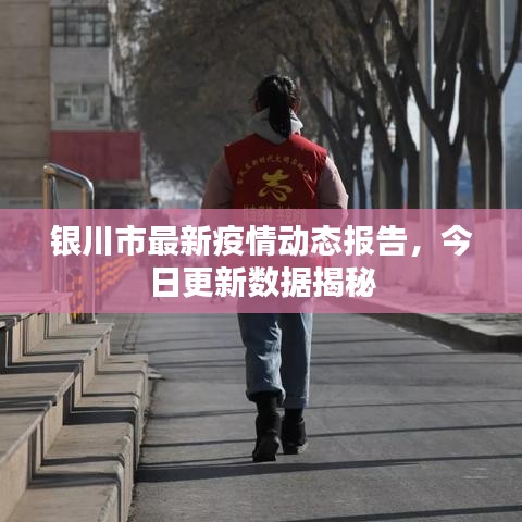 银川市最新疫情动态报告，今日更新数据揭秘