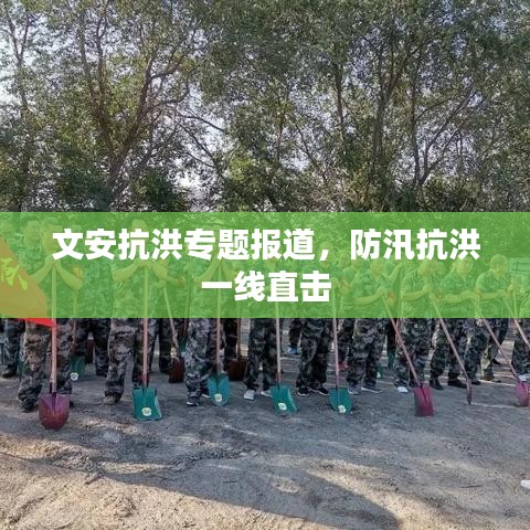 文安抗洪专题报道，防汛抗洪一线直击