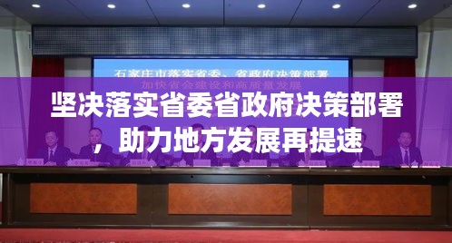 坚决落实省委省政府决策部署，助力地方发展再提速