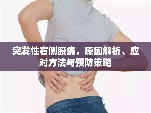 突发性右侧腰痛，原因解析、应对方法与预防策略
