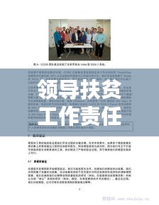 领导扶贫工作责任落实的关键要素与实践路径，打造精准扶贫新模式