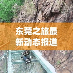 东莞之旅最新动态报道，今日消息一网打尽！