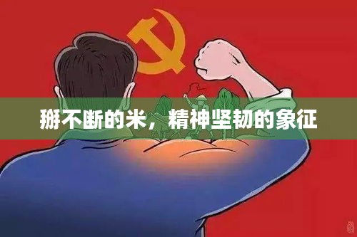 掰不断的米，精神坚韧的象征