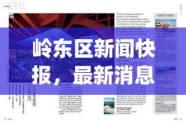 岭东区新闻快报，最新消息一览