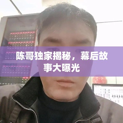陈哥独家揭秘，幕后故事大曝光