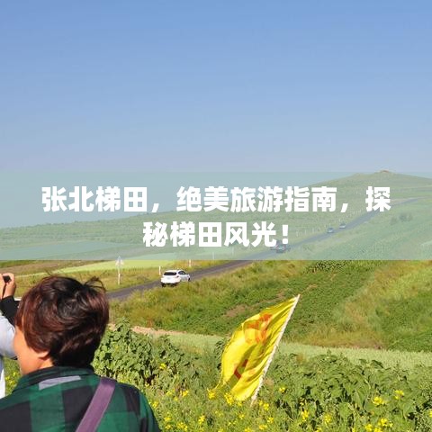 一石三鸟