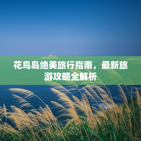 花鸟岛绝美旅行指南，最新旅游攻略全解析