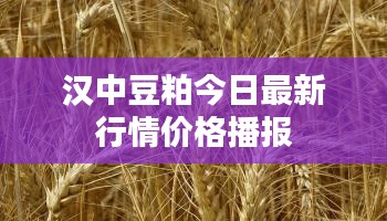 汉中豆粕今日最新行情价格播报