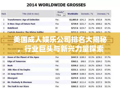 美国成人娱乐公司排名大揭秘，行业巨头与新兴力量探索