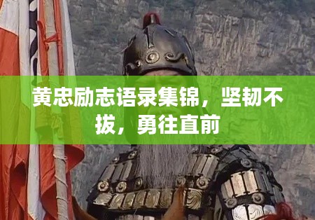 黄忠励志语录集锦，坚韧不拔，勇往直前