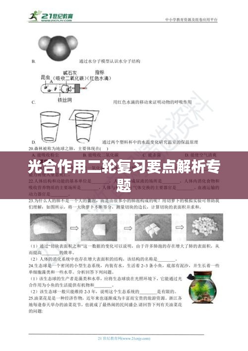 光合作用二轮复习要点解析专题