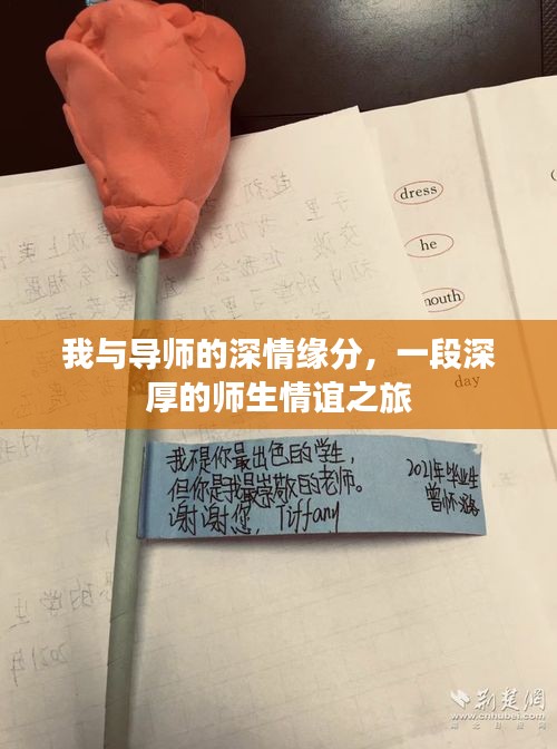 我与导师的深情缘分，一段深厚的师生情谊之旅