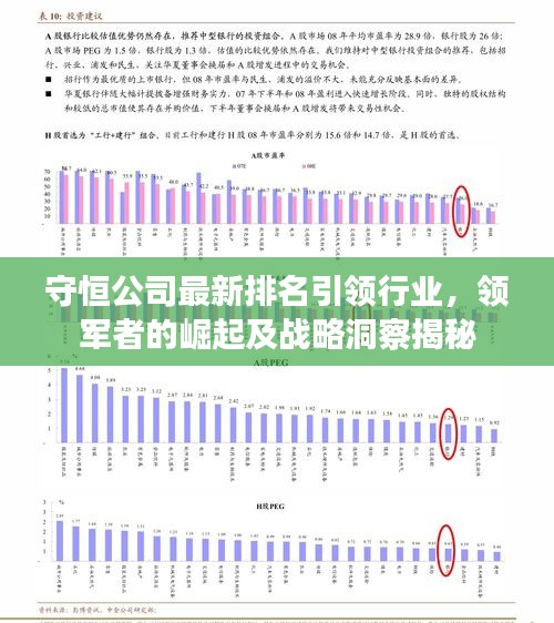 守恒公司最新排名引领行业，领军者的崛起及战略洞察揭秘