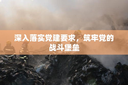 深入落实党建要求，筑牢党的战斗堡垒