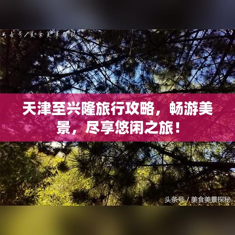 商务合作 第28页