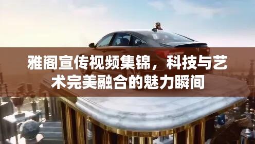 雅阁宣传视频集锦，科技与艺术完美融合的魅力瞬间