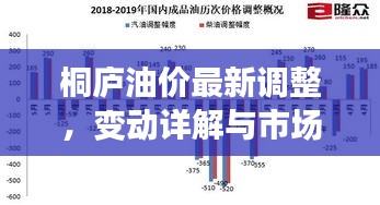 桐庐油价最新调整，变动详解与市场反应