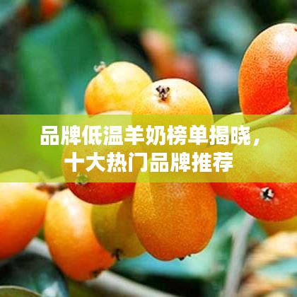品牌低温羊奶榜单揭晓，十大热门品牌推荐