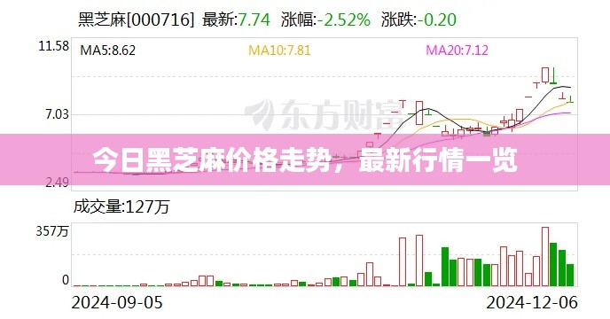 今日黑芝麻价格走势，最新行情一览