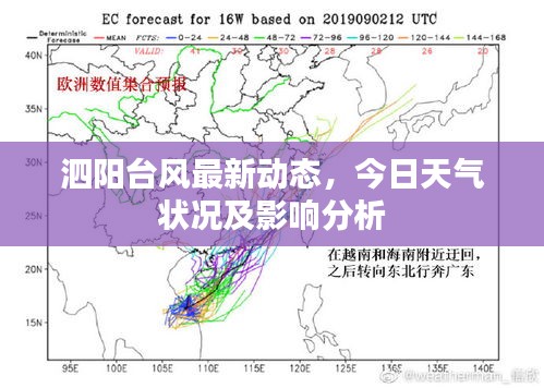 泗阳台风最新动态，今日天气状况及影响分析