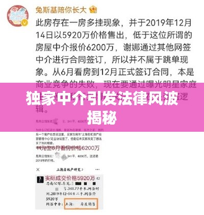 独家中介引发法律风波揭秘