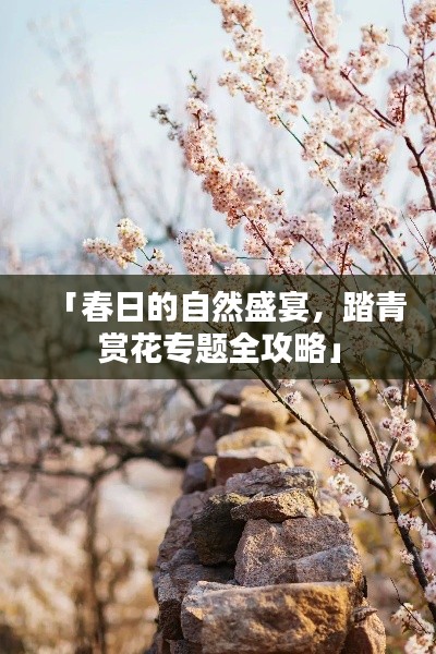 「春日的自然盛宴，踏青赏花专题全攻略」