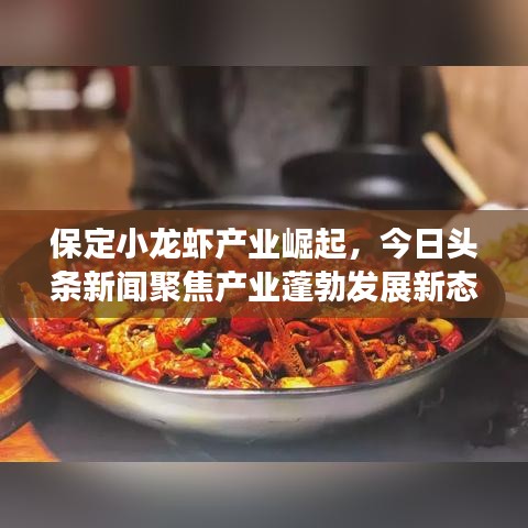 保定小龙虾产业崛起，今日头条新闻聚焦产业蓬勃发展新态势