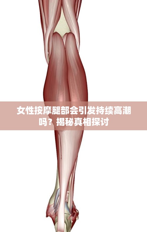 女性按摩腿部会引发持续高潮吗？揭秘真相探讨