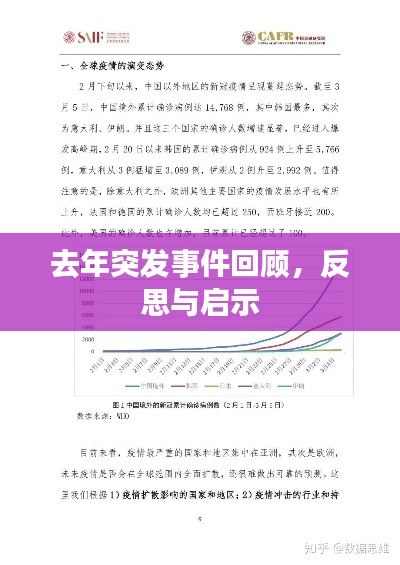 去年突发事件回顾，反思与启示
