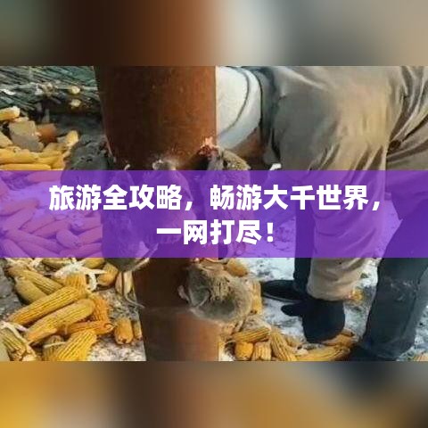 旅游全攻略，畅游大千世界，一网打尽！