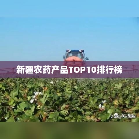 反正还淳