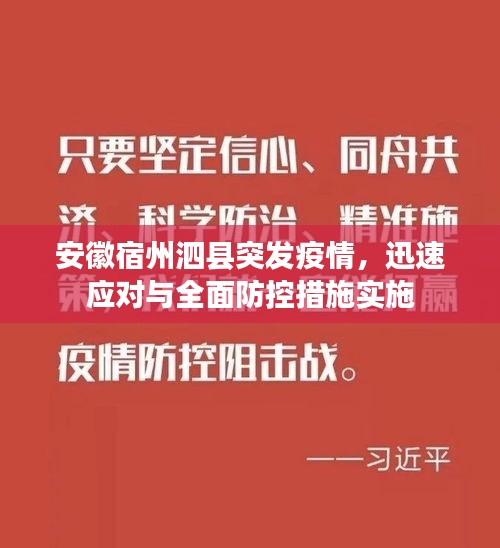 安徽宿州泗县突发疫情，迅速应对与全面防控措施实施