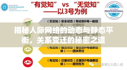 揭秘人际网络的动态与静态平衡，关系变迁的秘密之道
