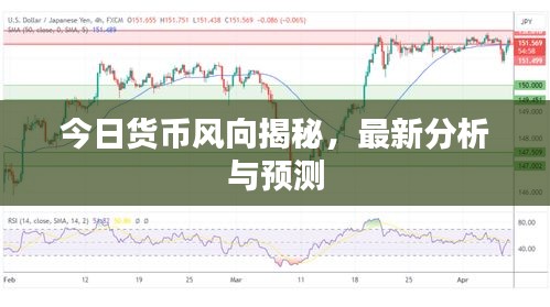 今日货币风向揭秘，最新分析与预测