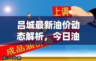 吕城最新油价动态解析，今日油价表、影响因素全分析