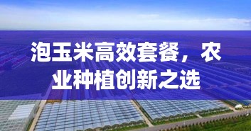 泡玉米高效套餐，农业种植创新之选