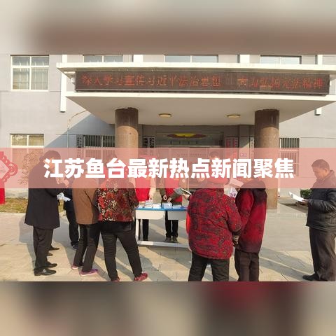 江苏鱼台最新热点新闻聚焦
