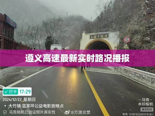 笨鸟先飞